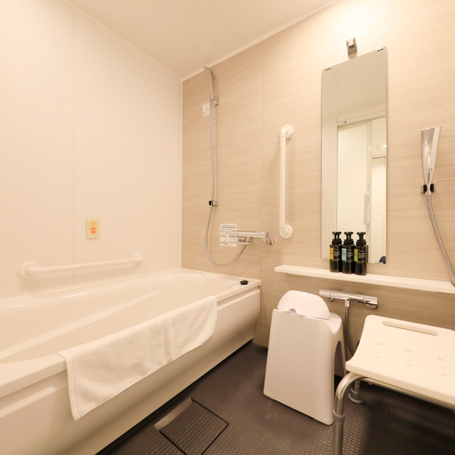 Accessible Room bathroom