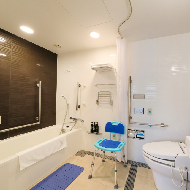 Accessible Room bathroom