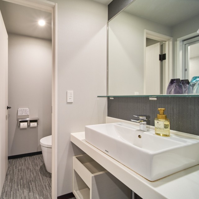 Bathroom_separate type washbasin