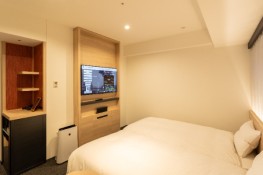 ヴィアイン飯田橋後楽園客室