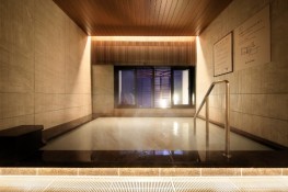 VIA INN PRIME AKASAKA